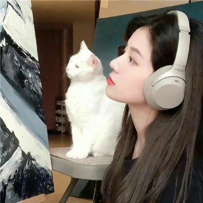 枯山水的波纹